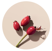 feature-item-1