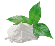 feature-item-4